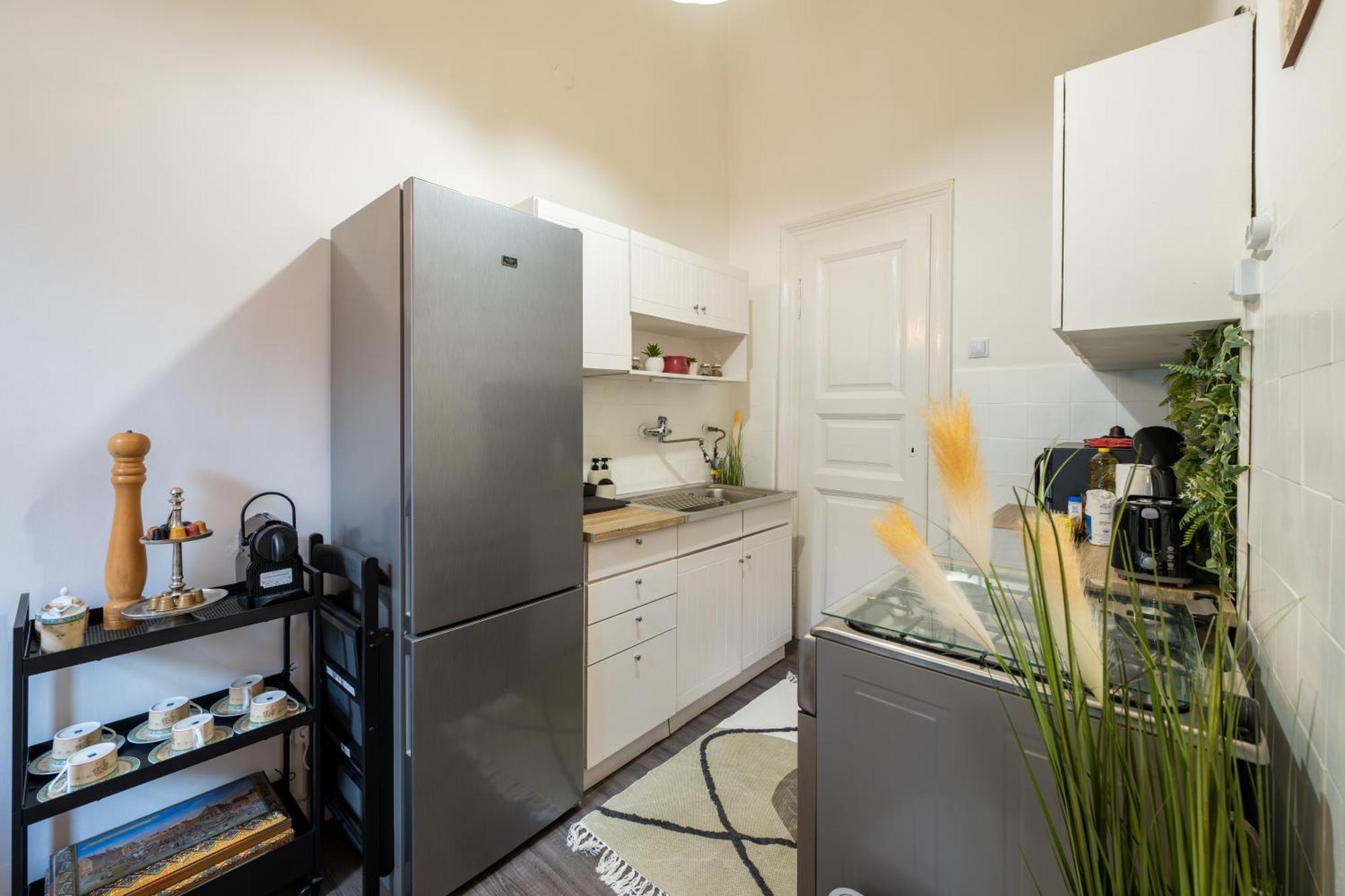 Downtown Oasis Apartment
